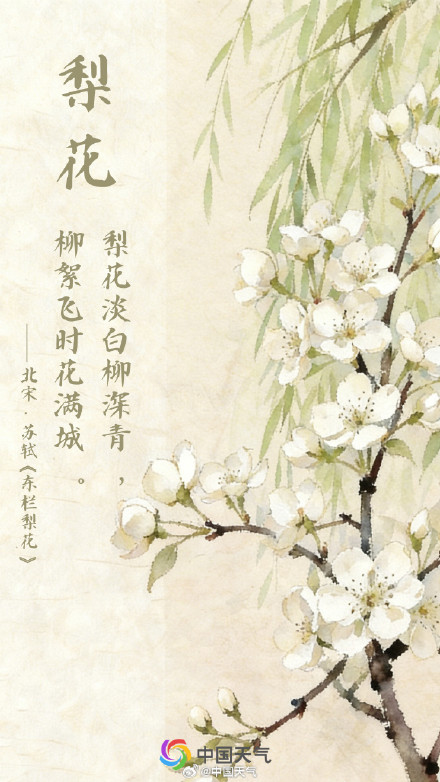 春花与诗词
