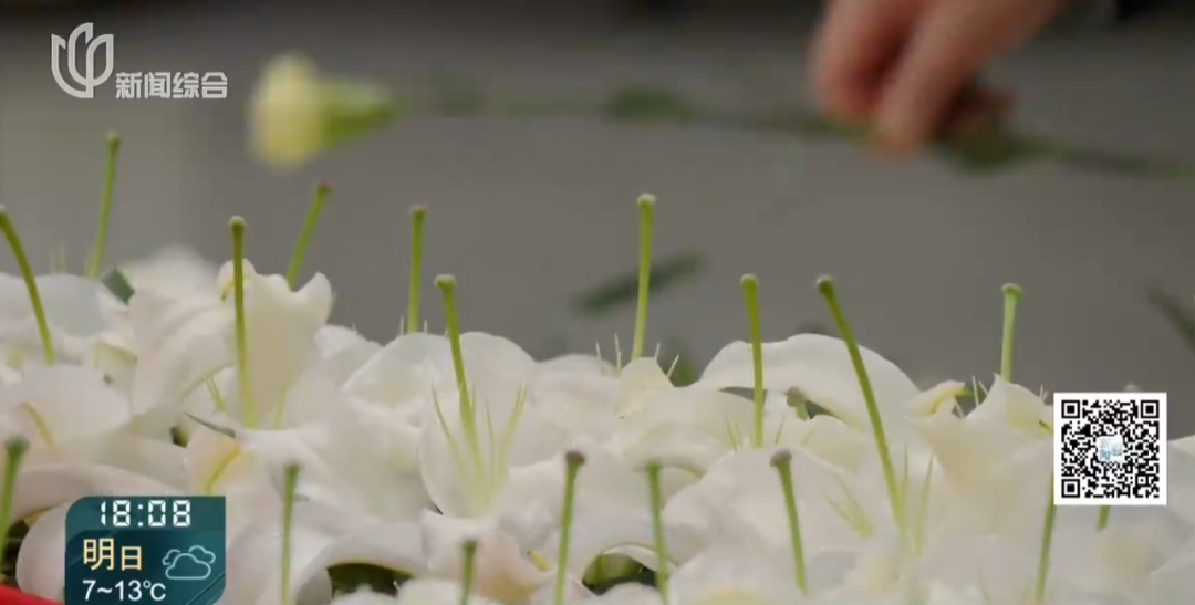 痛悼！今天，上海人在雨中排队为她送别！很多人哭到哽咽，永远忘不了..