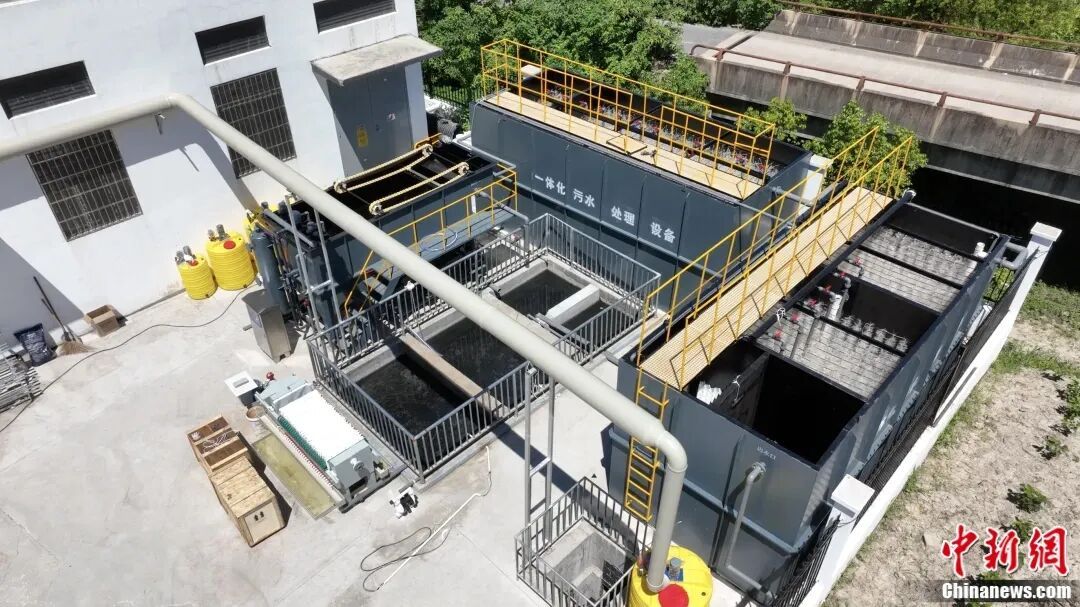 “别看我只是一只羊”，羊儿的价值难以想象