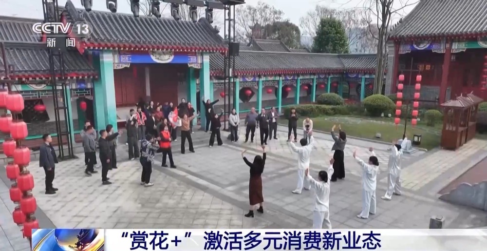 踏青赏花、采春茶、吃春菜 各地特色活动邀你尽享春日惬意