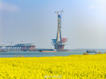 主塔全部封顶！长江上又一座大桥建设新进展