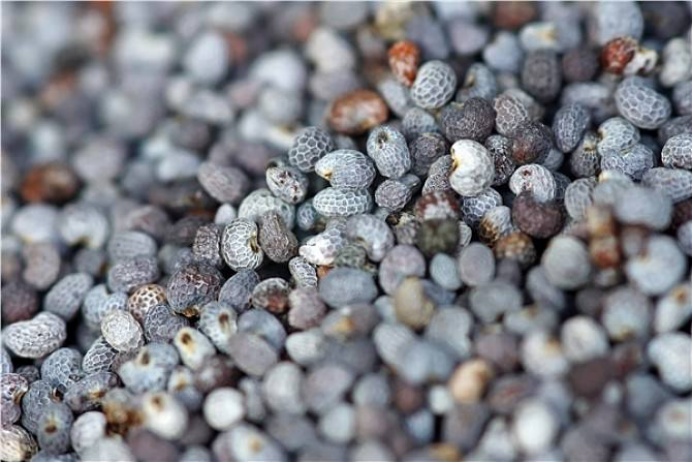 别让“偏方”和“好奇”害了你！