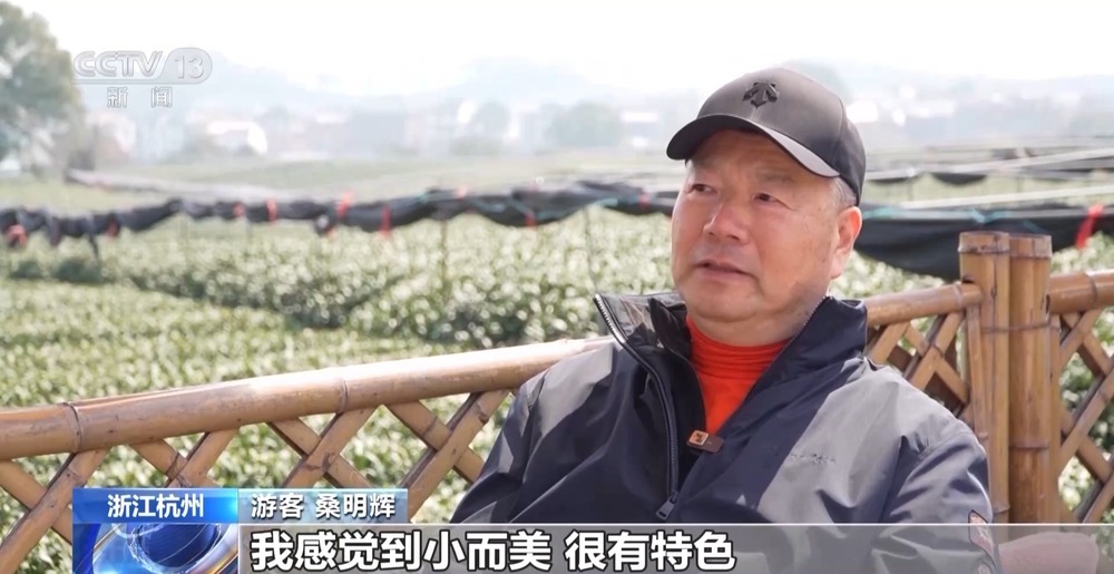 踏青赏花、采春茶、吃春菜 各地特色活动邀你尽享春日惬意