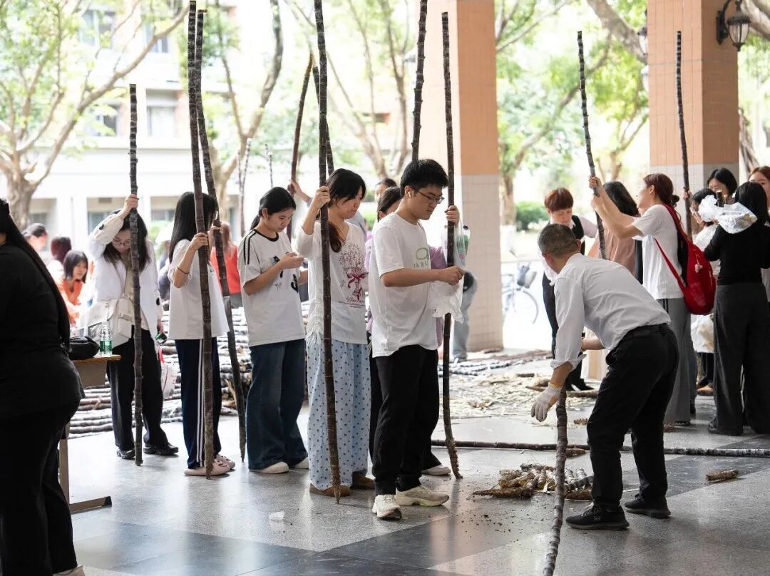 免费发30000根甘蔗！广东外语外贸大学这幕刷屏了