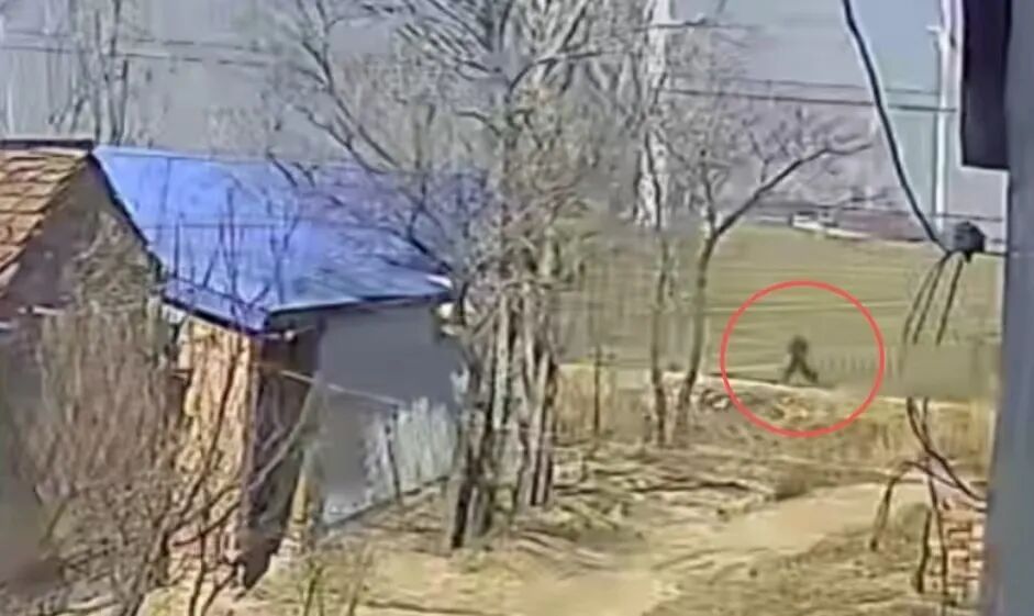 76岁老人狂奔200多米跳河勇救两人，被救女孩一家上门跪谢