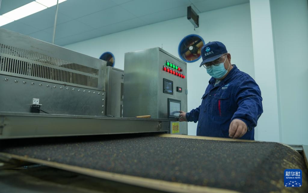 西藏山南：生态优势＋技术创新 带动农民持续增收