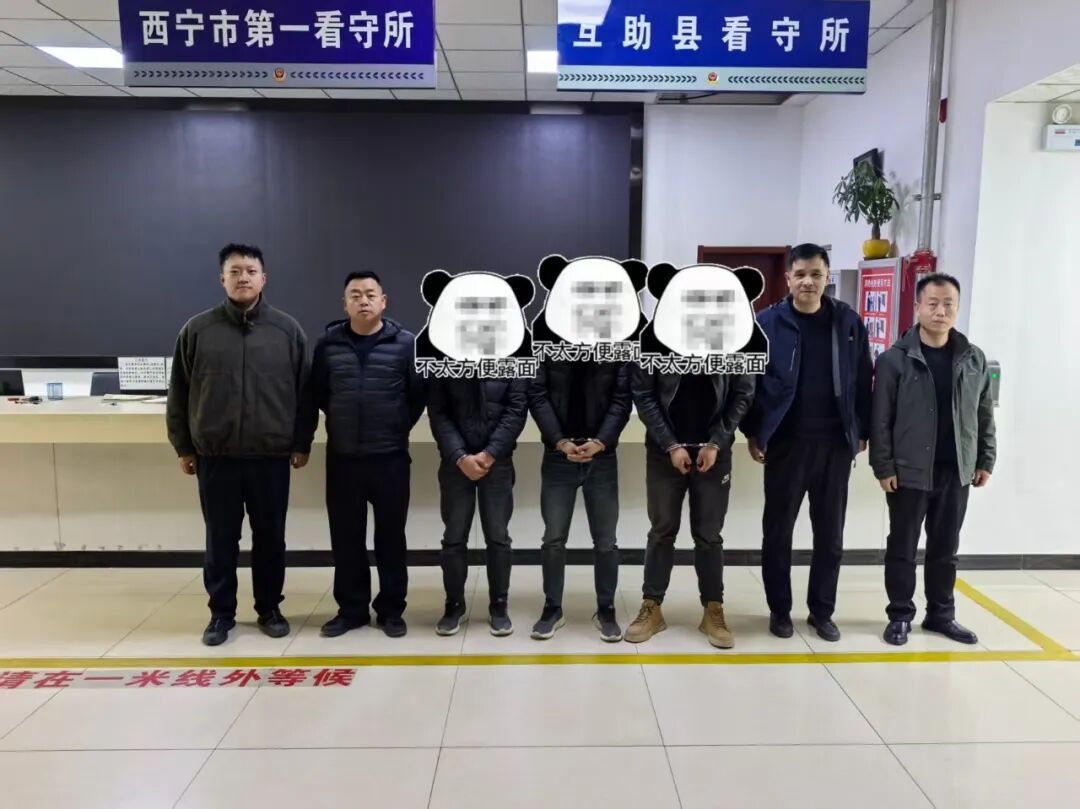 抓获犯罪嫌疑人10名！青海互助公安破获多起侵财案件