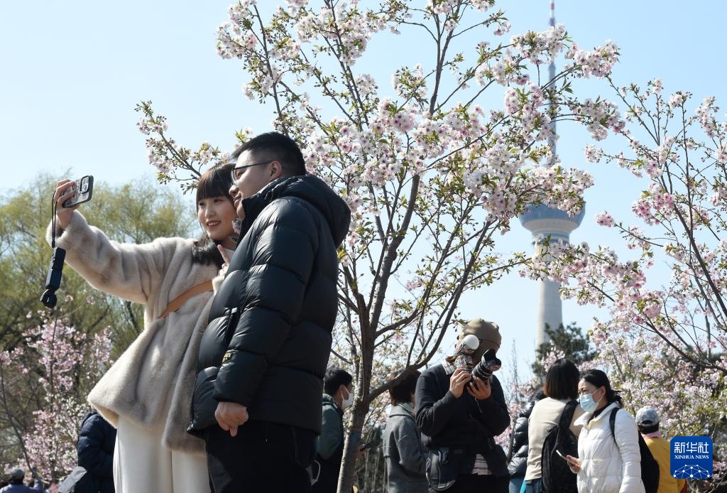 北京玉渊潭春花争艳