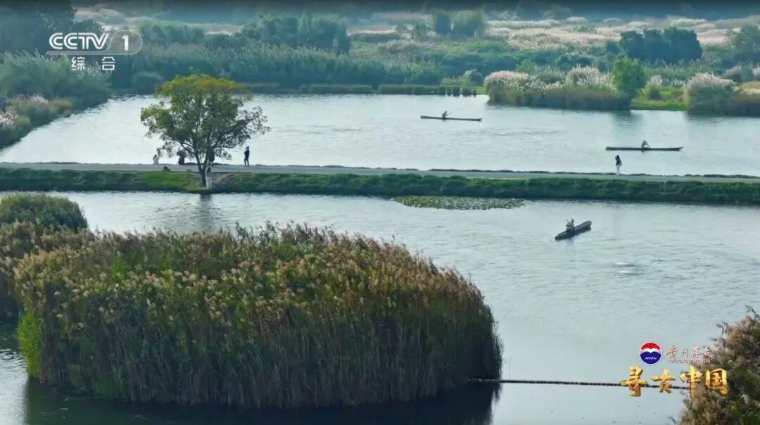 挖出20万公斤炭化稻米！良渚古城的“粮食安全防线”有多强