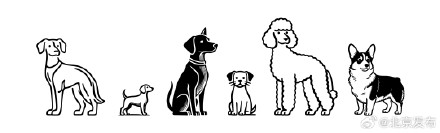 怕“毛孩子”寄养受委屈？清明五一将至，北京消协给你支招→