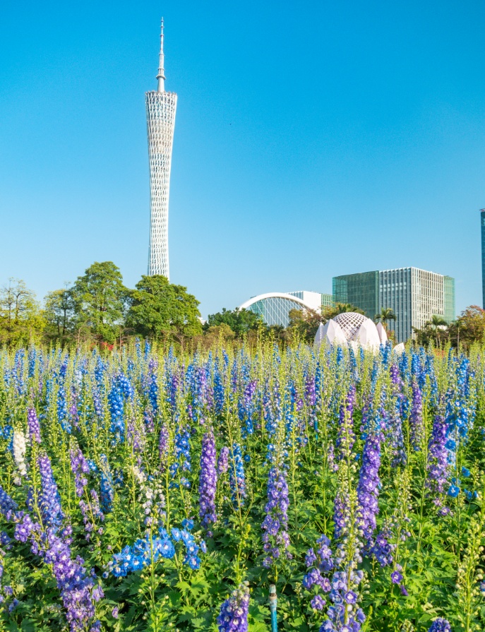 广东部分地区要下雨，广州最高温将冲上30℃