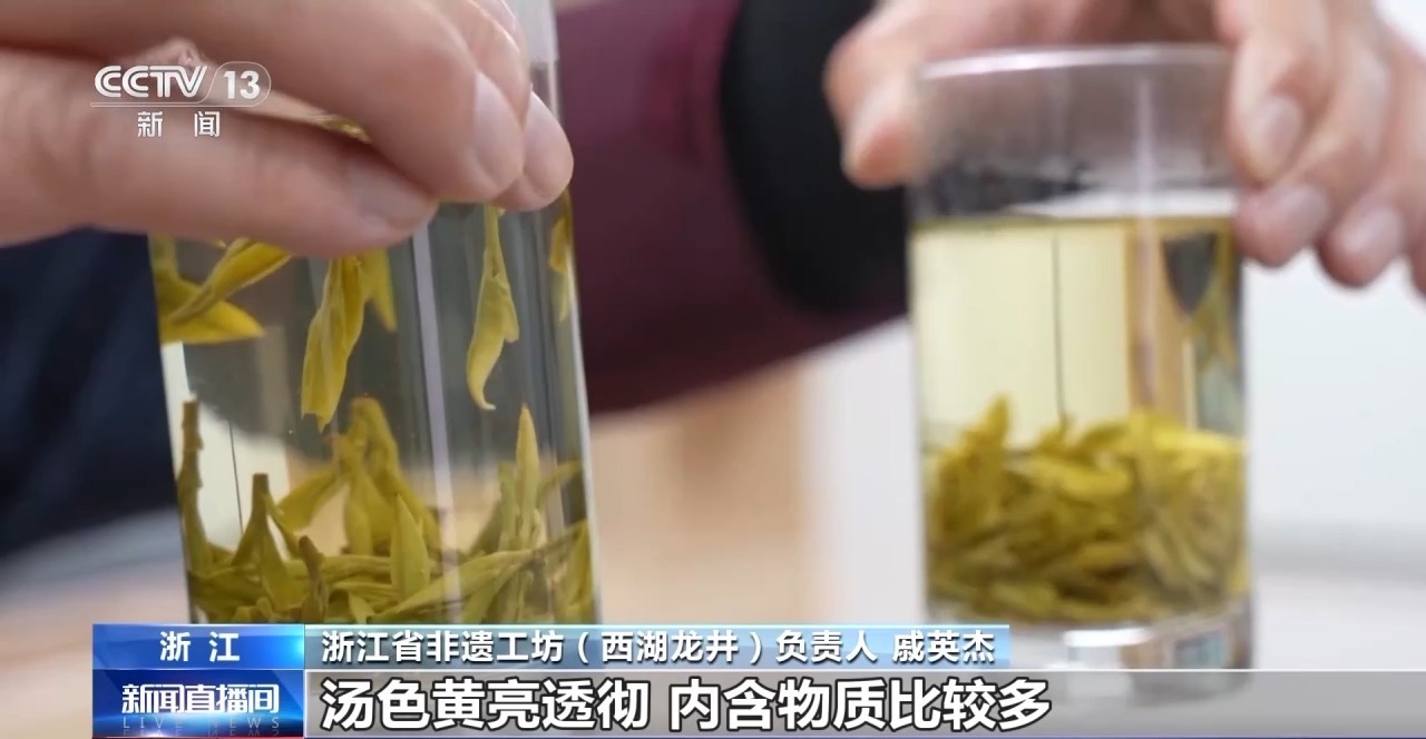 西湖龙井今日开采 三招教你辨别真伪