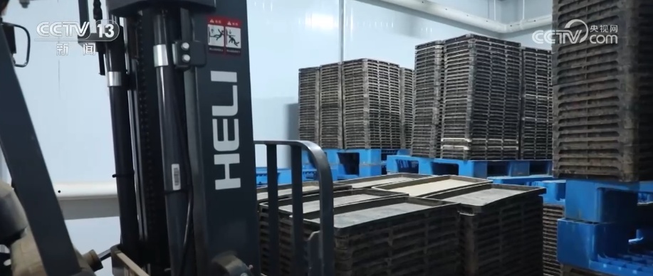 “智慧农机+科技春管”助力春耕备耕不仅跑出“加速度”更育出“高质量”