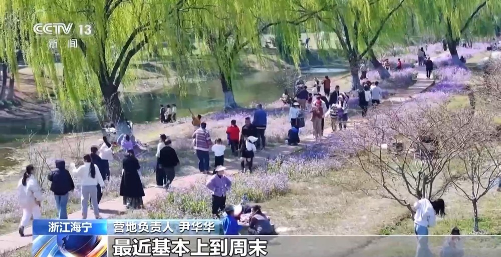 踏青赏花、采春茶、吃春菜 各地特色活动邀你尽享春日惬意