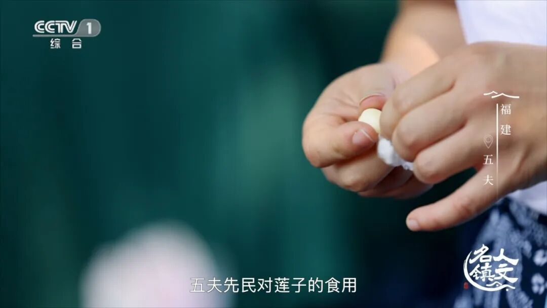 福建五夫：解锁朱子故里的文脉密码