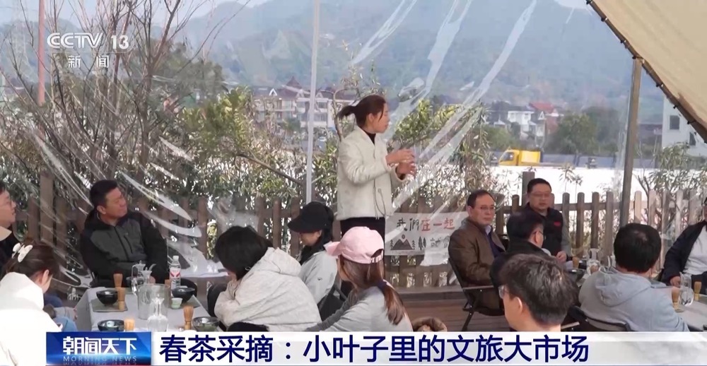 踏青赏花、采春茶、吃春菜 各地特色活动邀你尽享春日惬意