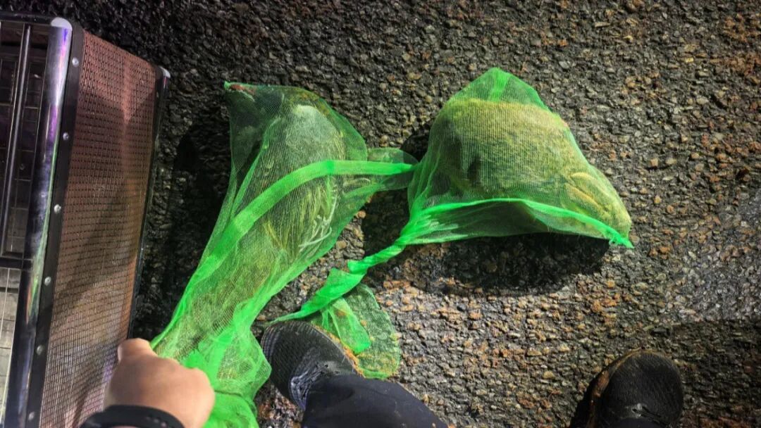 利用无人机“黑飞”非法狩猎，芜湖一对父子落网！