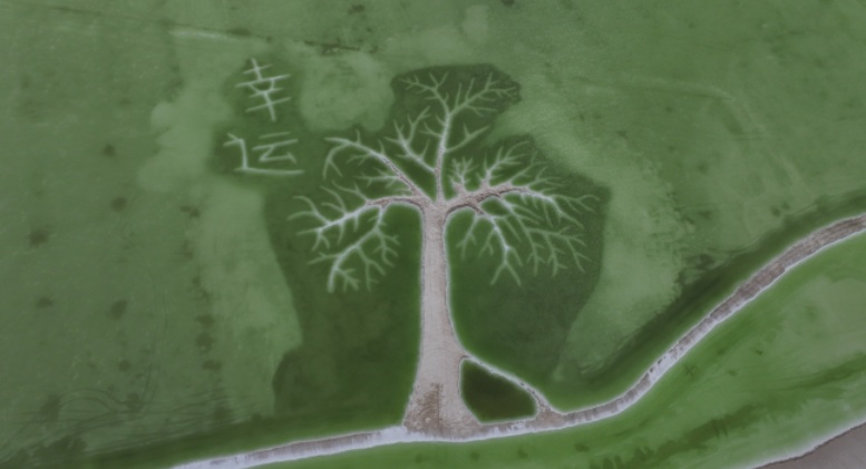 青海再添一处宝藏打卡地！