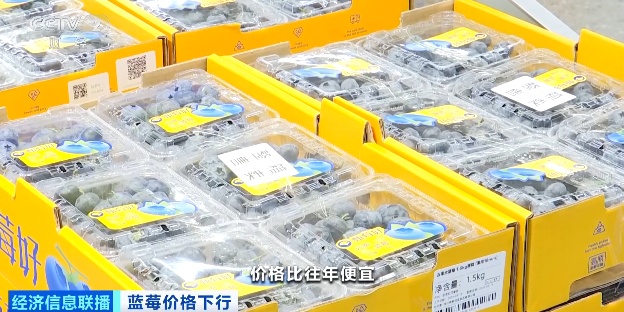 价格腰斩！以前小盒装，现在出现“按桶论斤”卖！