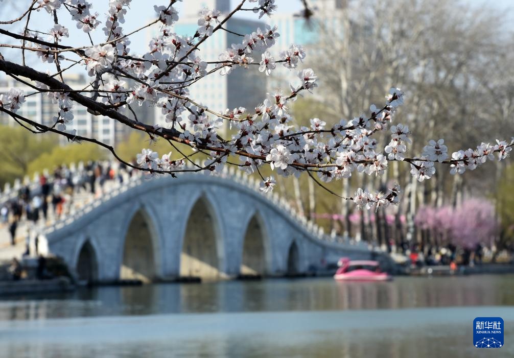 北京玉渊潭春花争艳