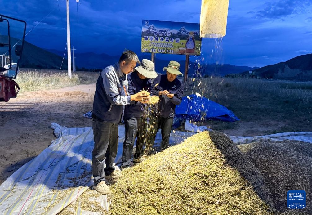 西藏山南：生态优势＋技术创新 带动农民持续增收