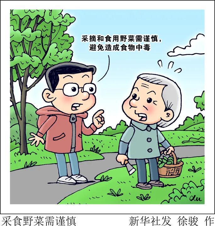 吃“野菜”中招的人出现了！专家紧急提醒