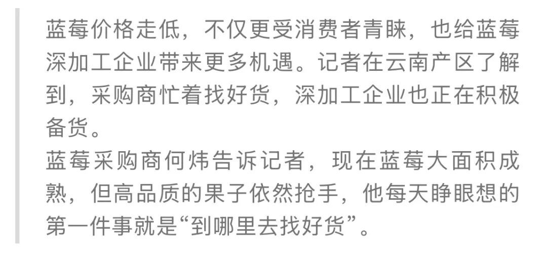 蓝莓价格显著下跌