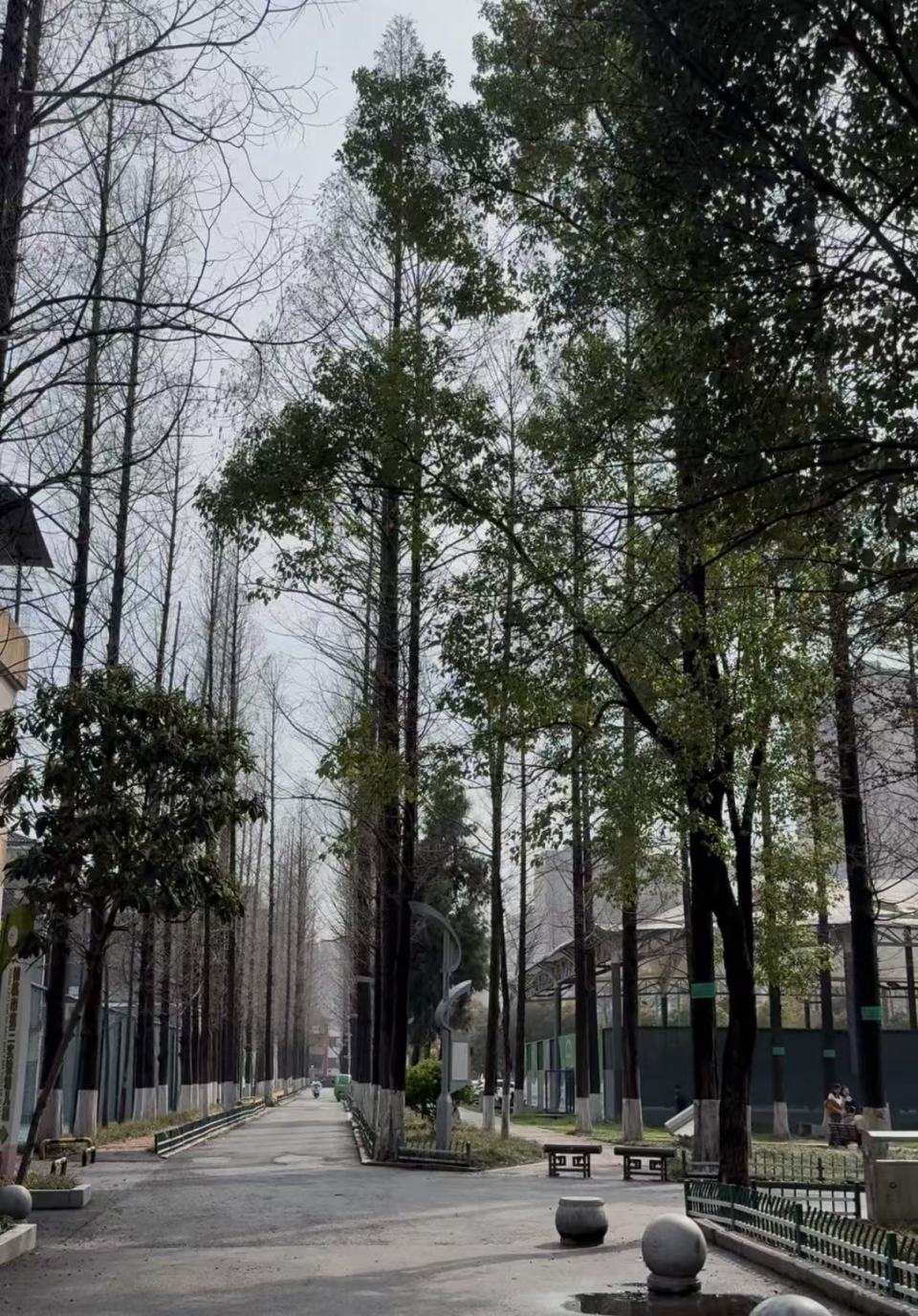 湖北姐姐找回32年前从自己手上被拐的弟弟，翻修旧宅迎弟弟回家，邻居：她盼到头了！