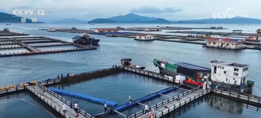 从追求产量到绿色引领 中国水产养殖业为全球渔业转型提供“中国方案”