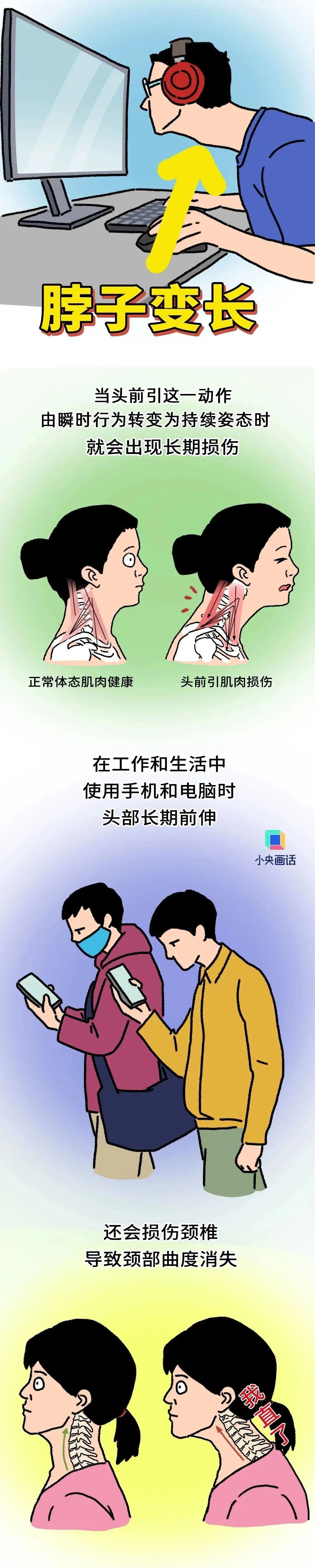 看完这篇文章，赶紧把你的脖子收回去！