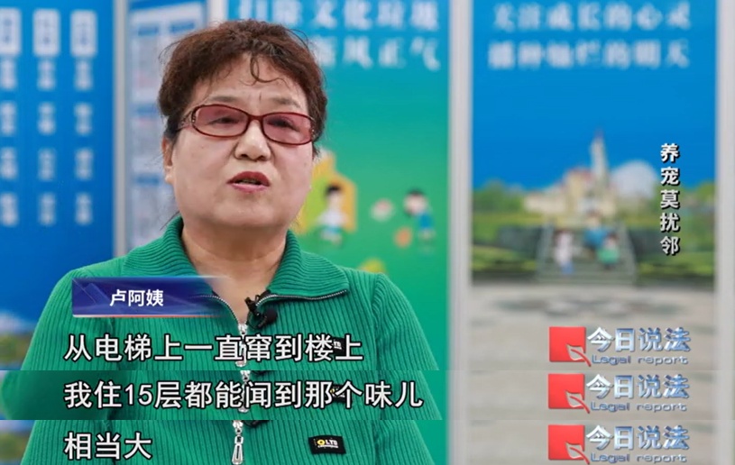 为“提升阳气”在房屋内养了几十只猫，邻居无法忍受刺鼻臭味，矛盾如何解？