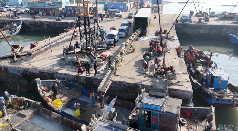 山东青岛：海上春耕正当时 渔民播撒蛤蜊苗忙“春种”