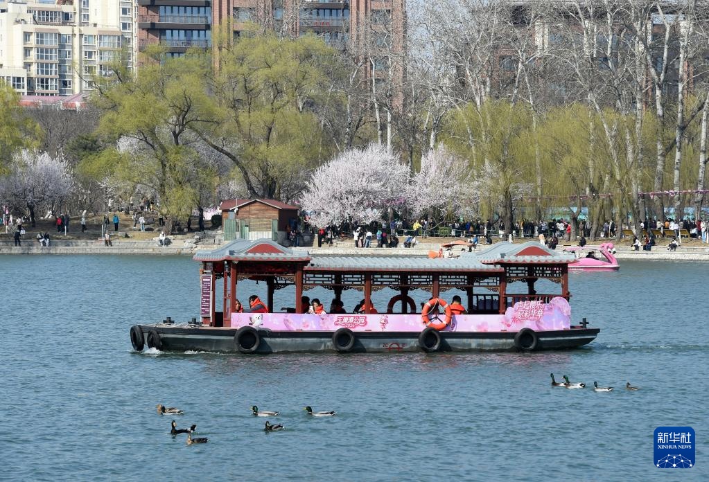 北京玉渊潭春花争艳