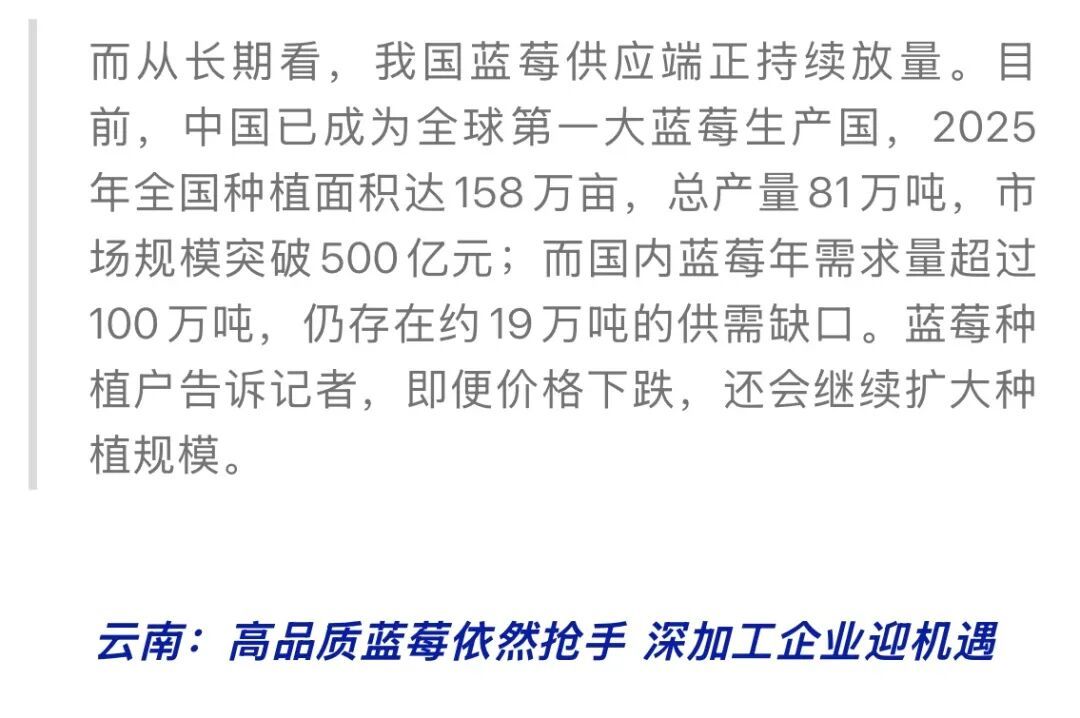 蓝莓价格显著下跌