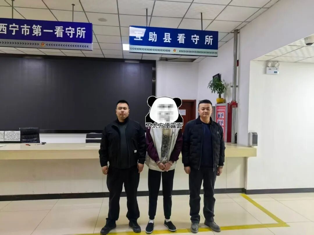 抓获犯罪嫌疑人10名！青海互助公安破获多起侵财案件