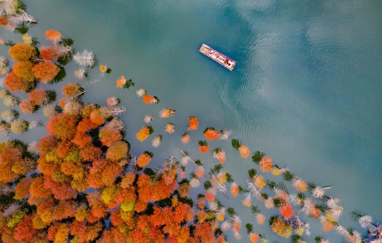 安徽林业总产值约7000亿元 位居全国第一方阵