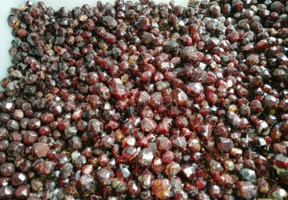 胆囊里面有“宝石”？千颗“石榴石”结石从贵阳七旬老人体内取出