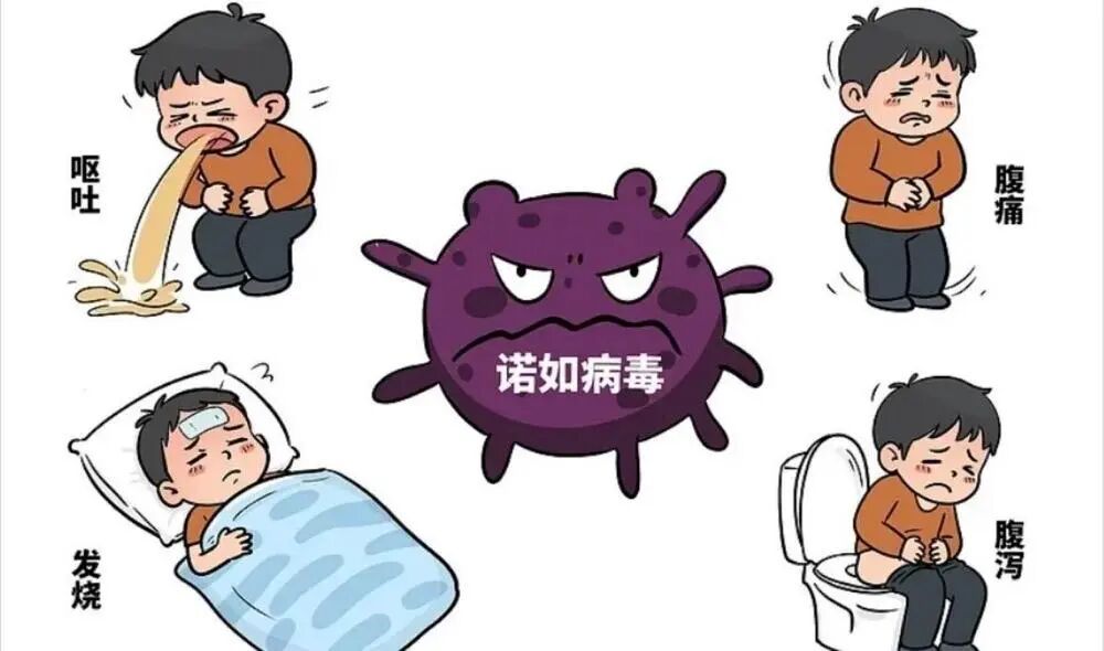 家长师生注意！诺如病毒进入高发期