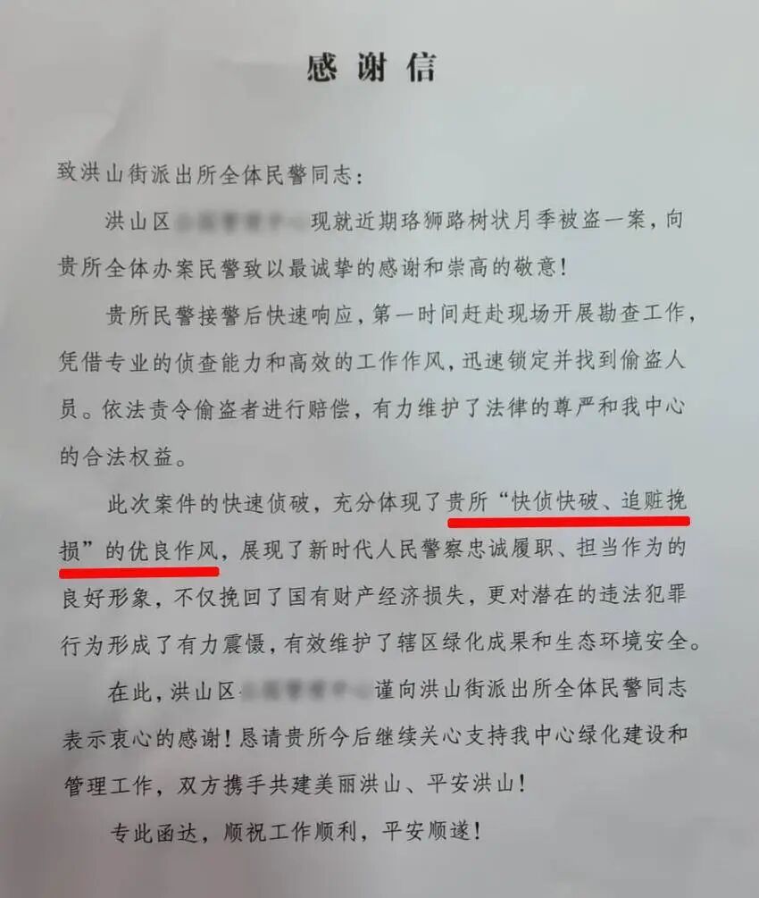 名贵月季接连被盗 民警化身 “追花人”