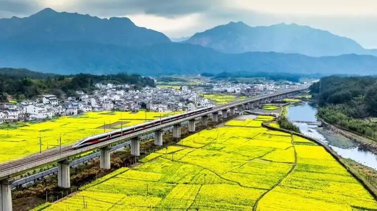 坐高铁去春游啦！周五长三角铁路开启32天春游模式