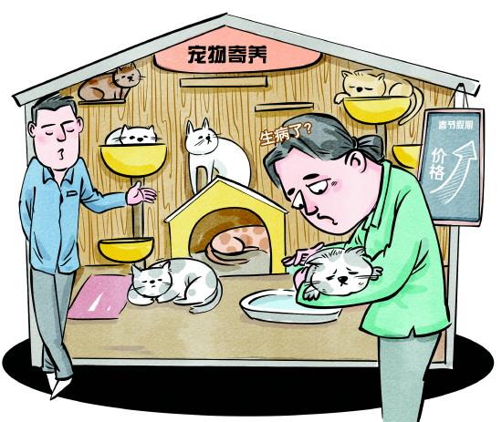宠物寄养亟待行业标准护航