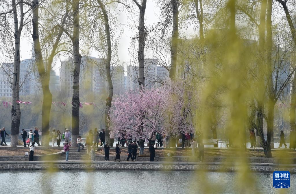 北京玉渊潭春花争艳