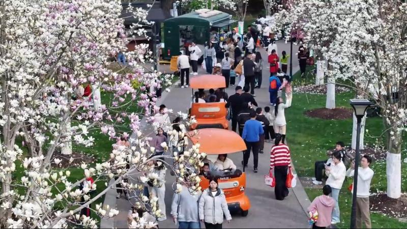 江西抚州：城市公园春意浓 市民踏青享春光