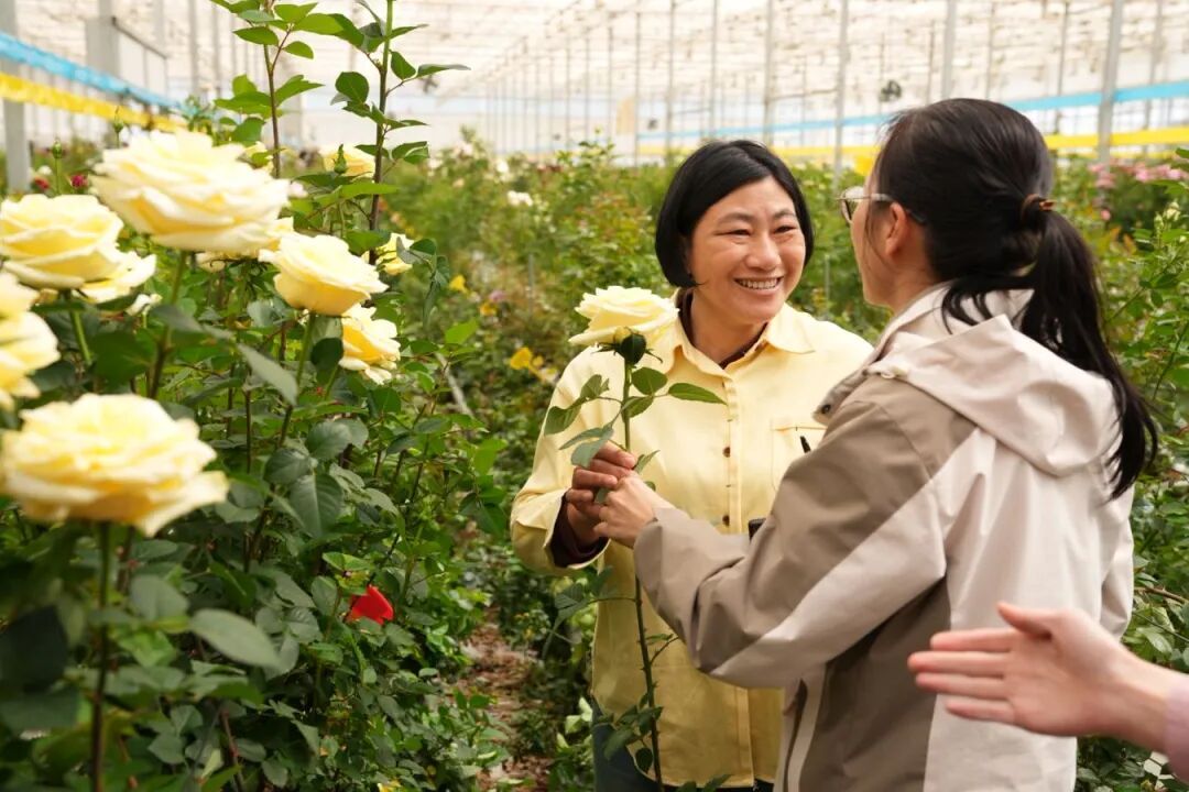 “文秀”，回家了！