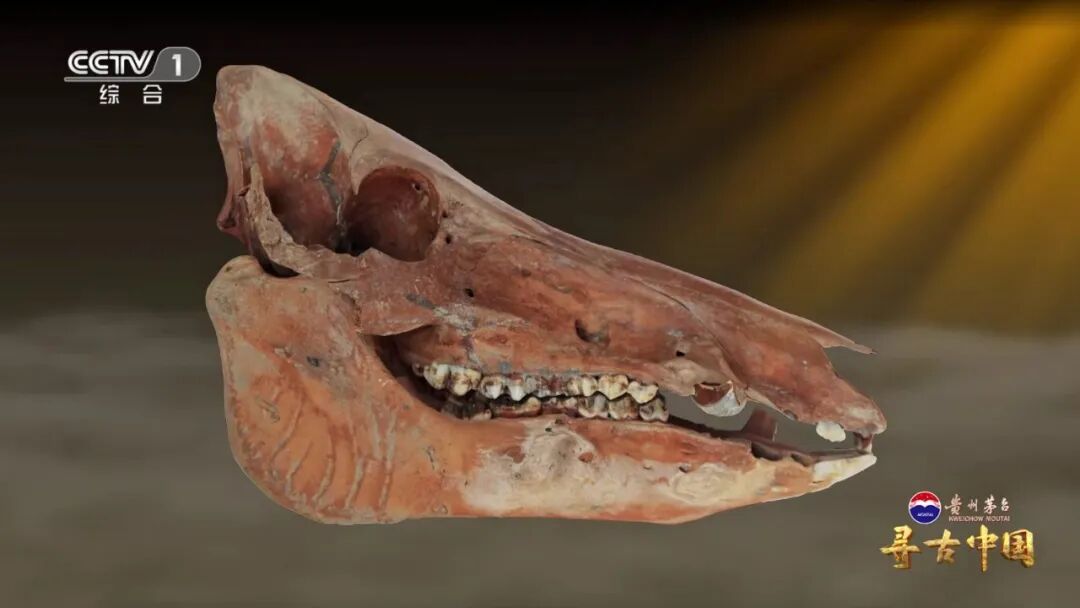 挖出20万公斤炭化稻米！良渚古城的“粮食安全防线”有多强