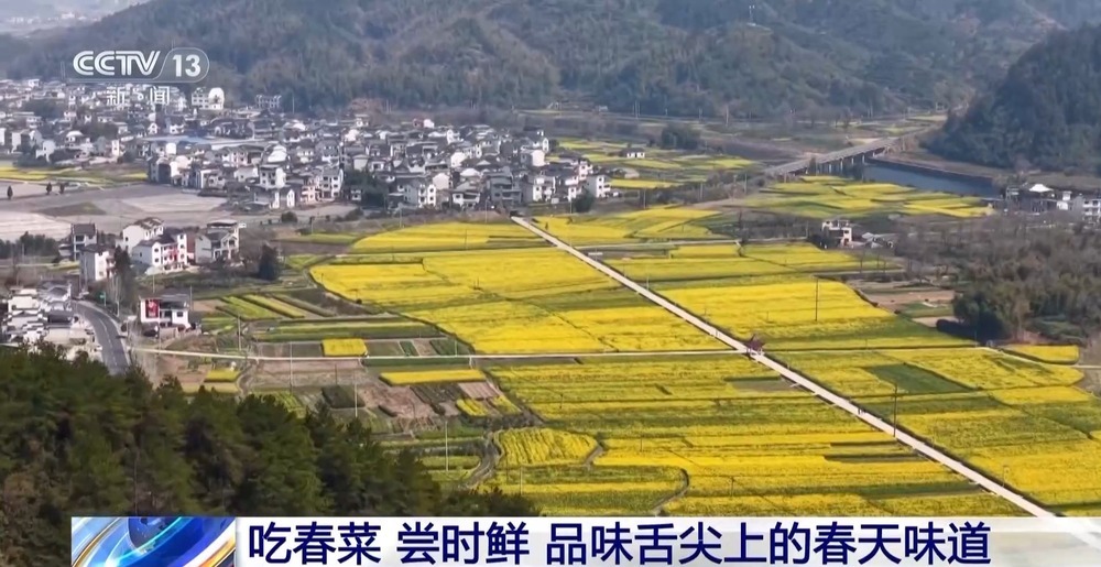 踏青赏花、采春茶、吃春菜 各地特色活动邀你尽享春日惬意