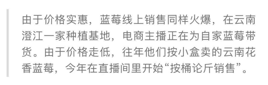 蓝莓价格显著下跌