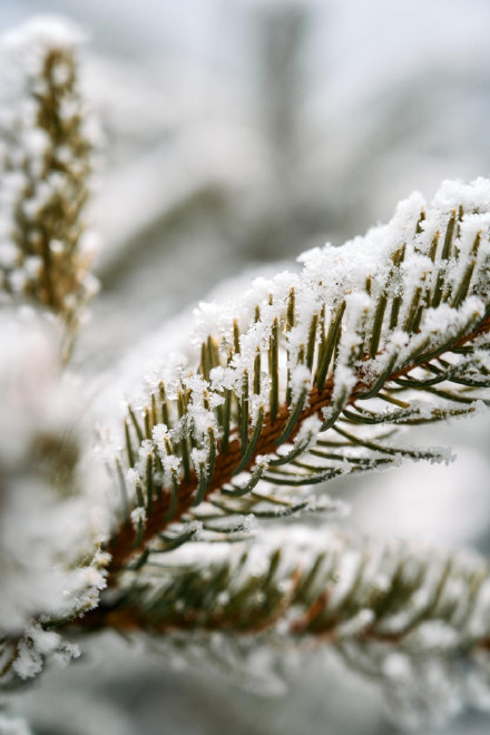 青海春雪把氛围感拉满了