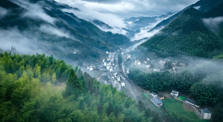 安徽林业总产值约7000亿元 位居全国第一方阵