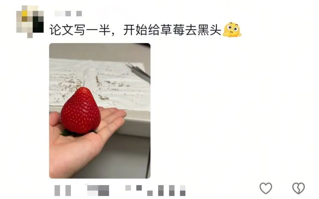 一旦开始写论文，我就想烙饼、熬酱，甚至是给草莓去黑头……